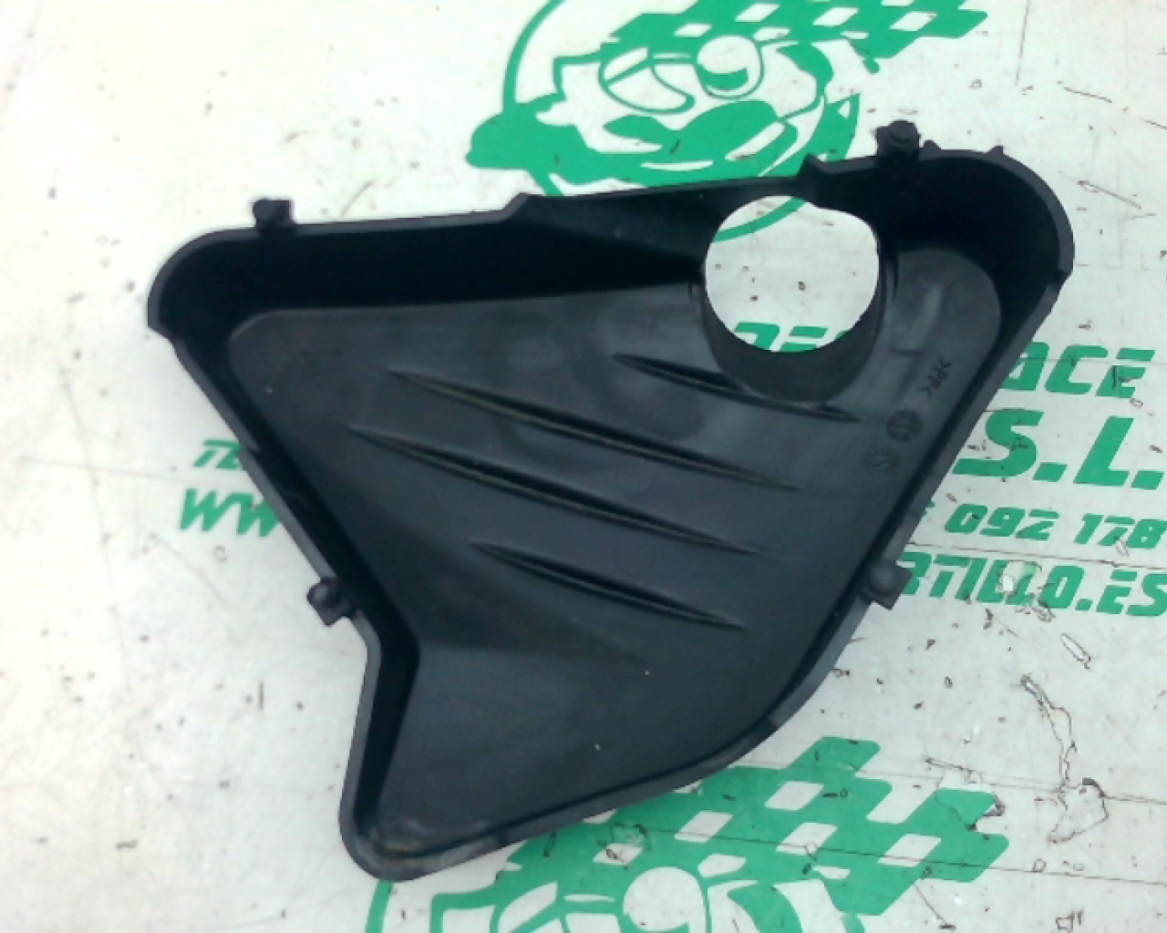 Tapa Bote Expansor  BMW K1200R (2006-2007)