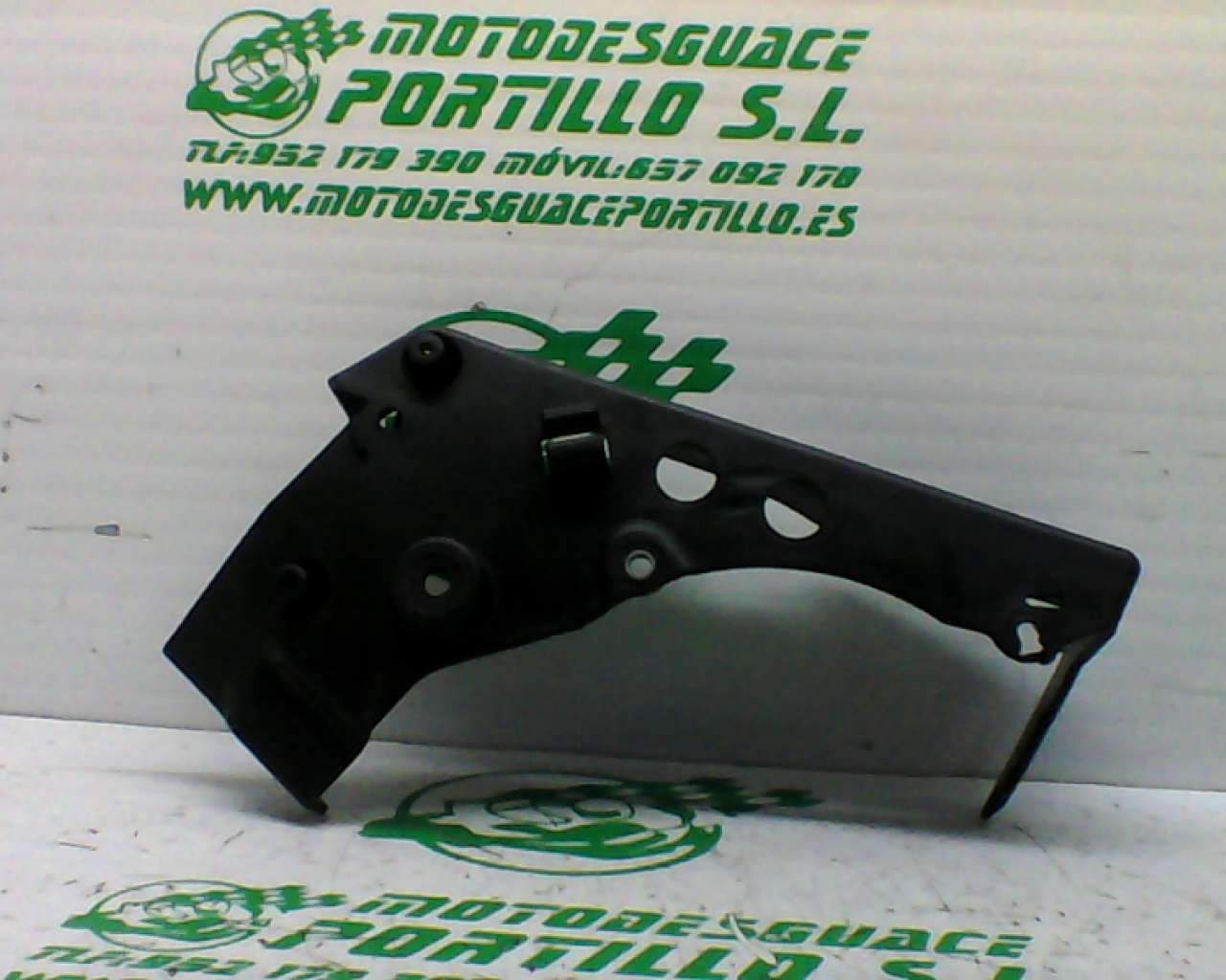 Protector de cableado  Derbi RAMBLA 300 (2011-2012)