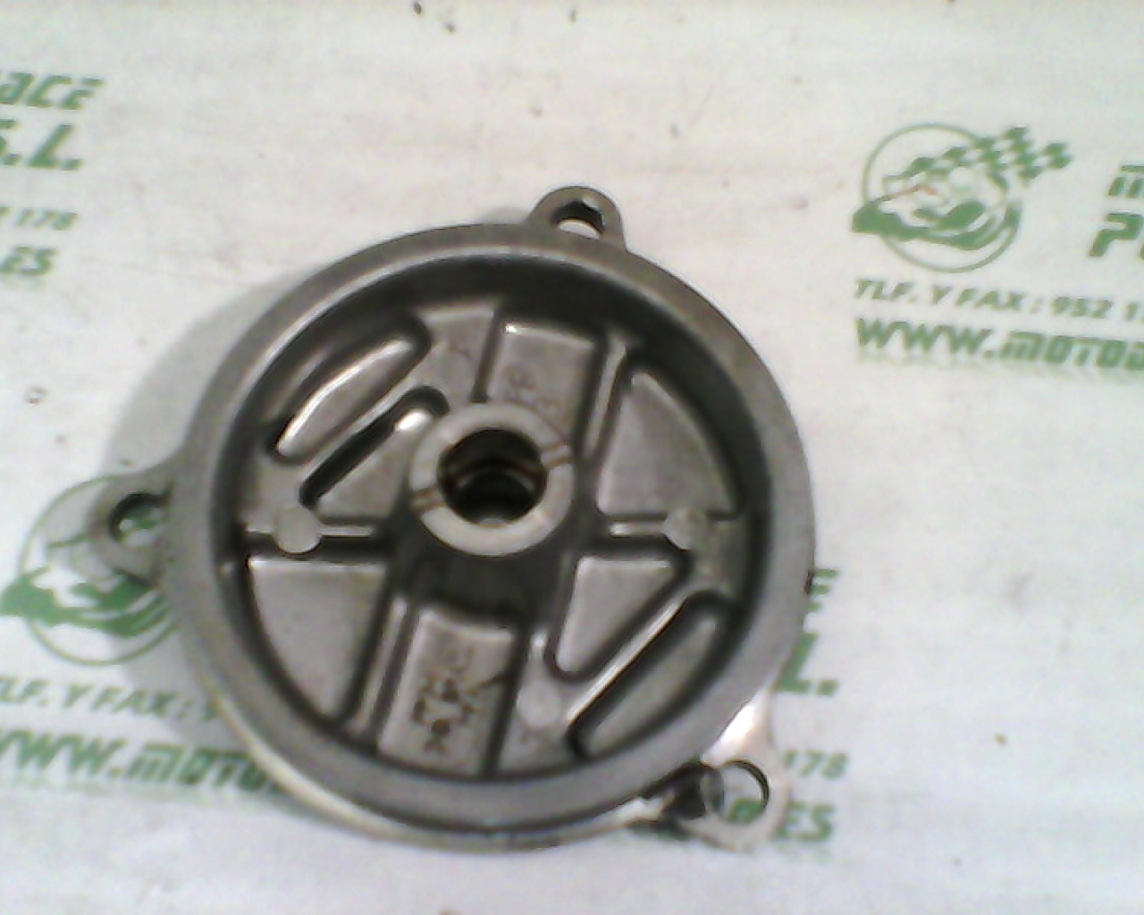 Tapa de piñon Honda CBF 250 (2004-2007)