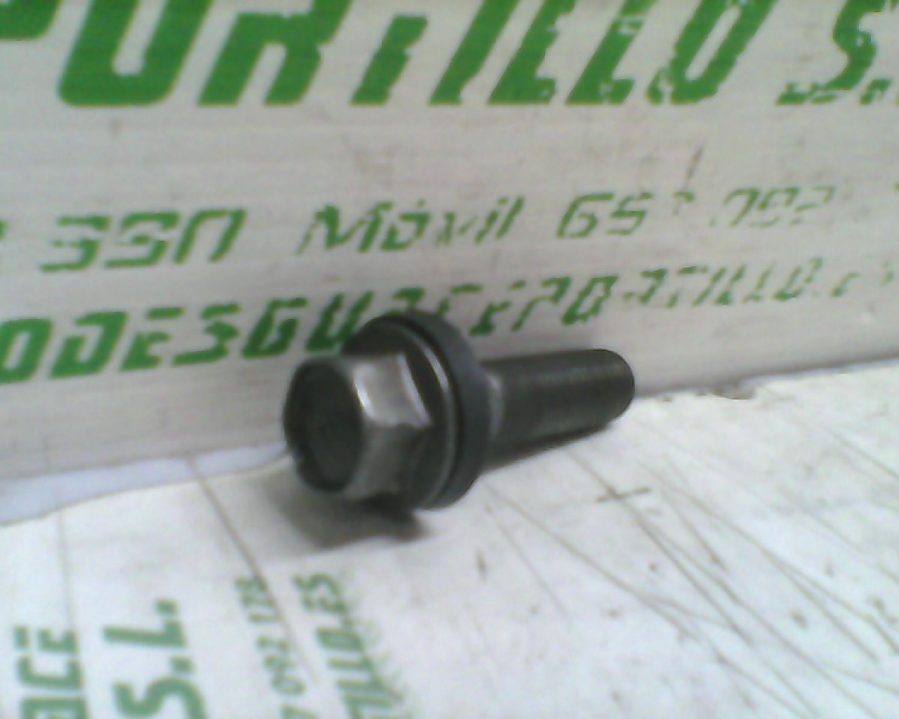 Tornillo del Cigüeñal  Honda CBF 250 (2004-2007)