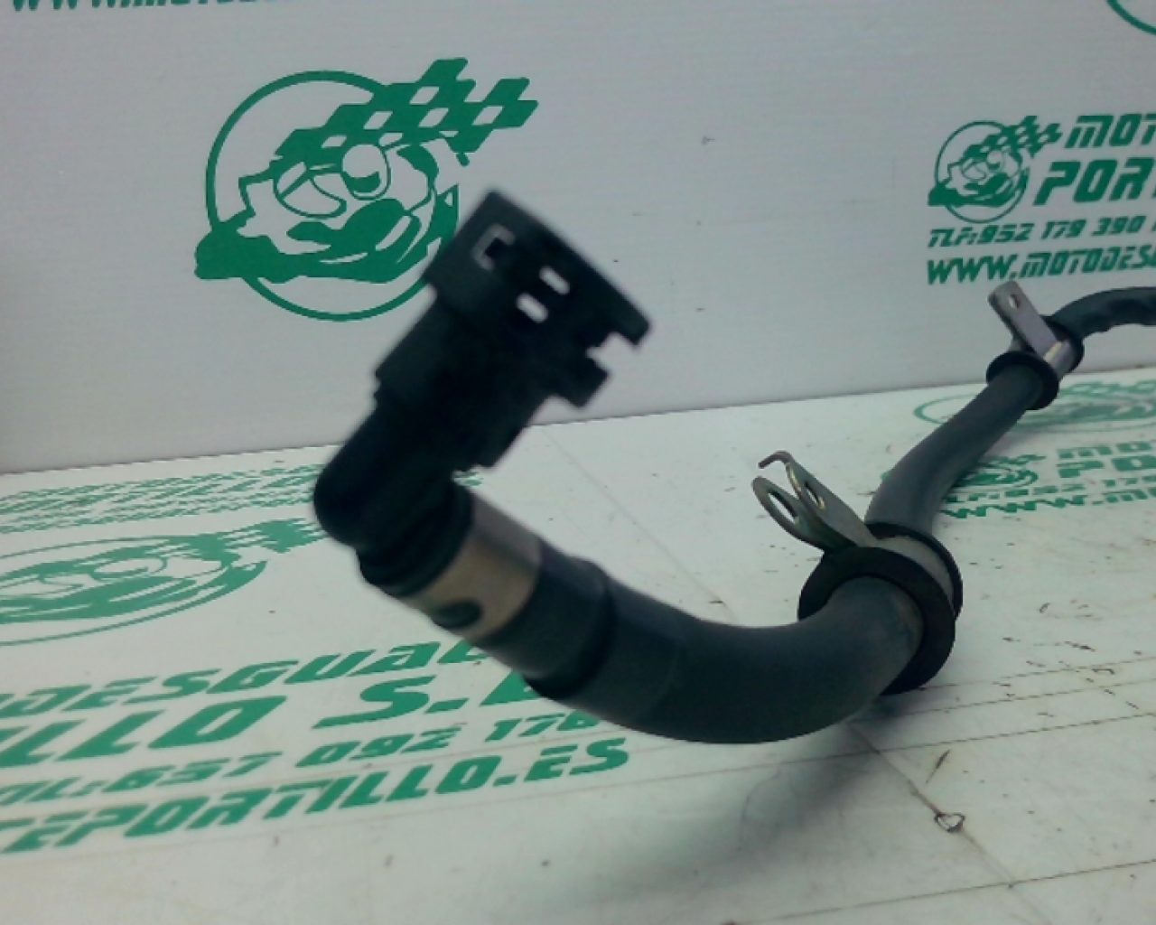 Macarr&oacute;n de gasolina Honda FORZA 125 (2019-2019)