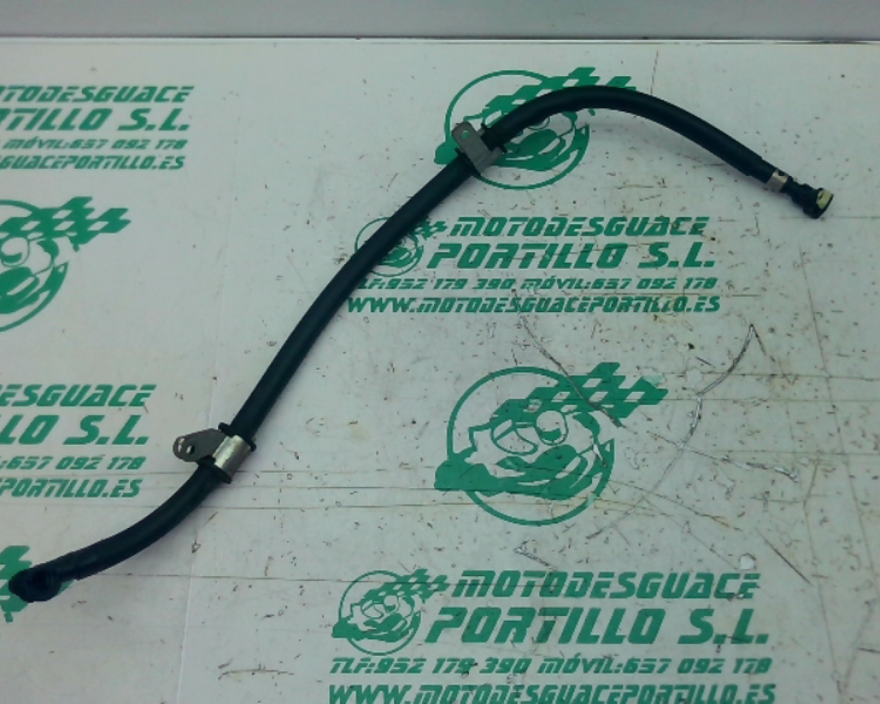 Macarr&oacute;n de gasolina Honda FORZA 125 (2019-2019)