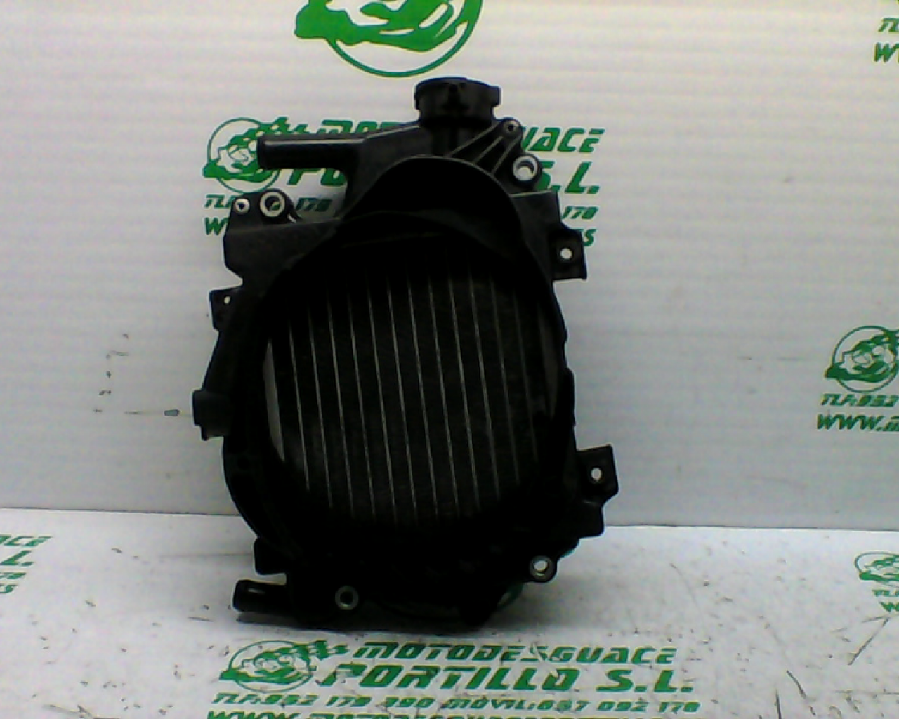 Radiador Honda Pcx 125 (2010-2012)