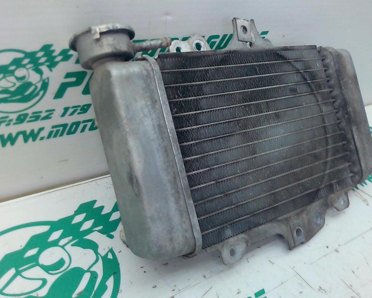 Radiador Honda SH 125 i 09-10 (2009-2010)