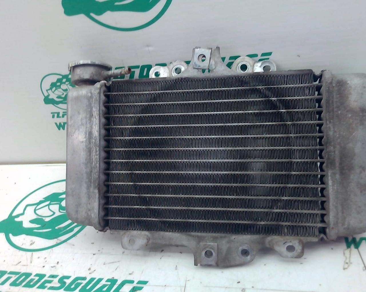 Radiador Honda SH 125 i 09-10 (2009-2010)