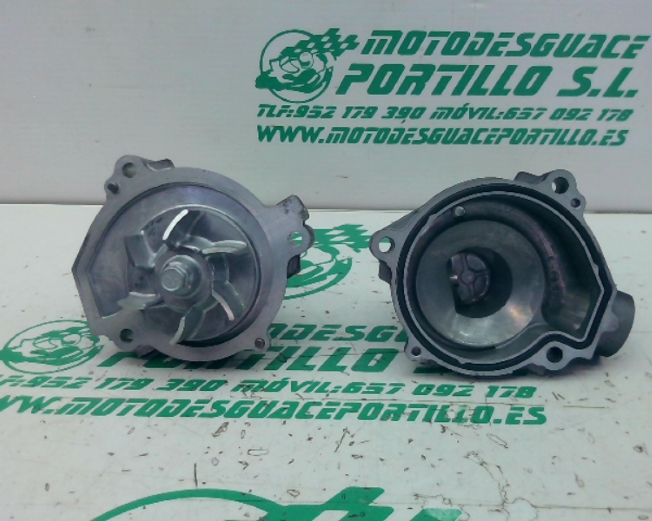 Bomba de agua Kawasaki Z 900 (2020-2021)