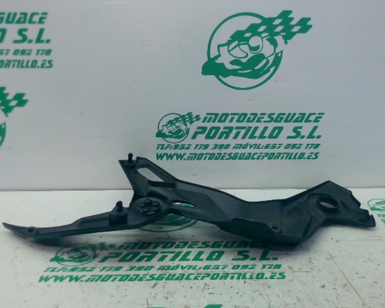 Embellecedor chasis izquierdo Kawasaki Z 900 (2020-2021)