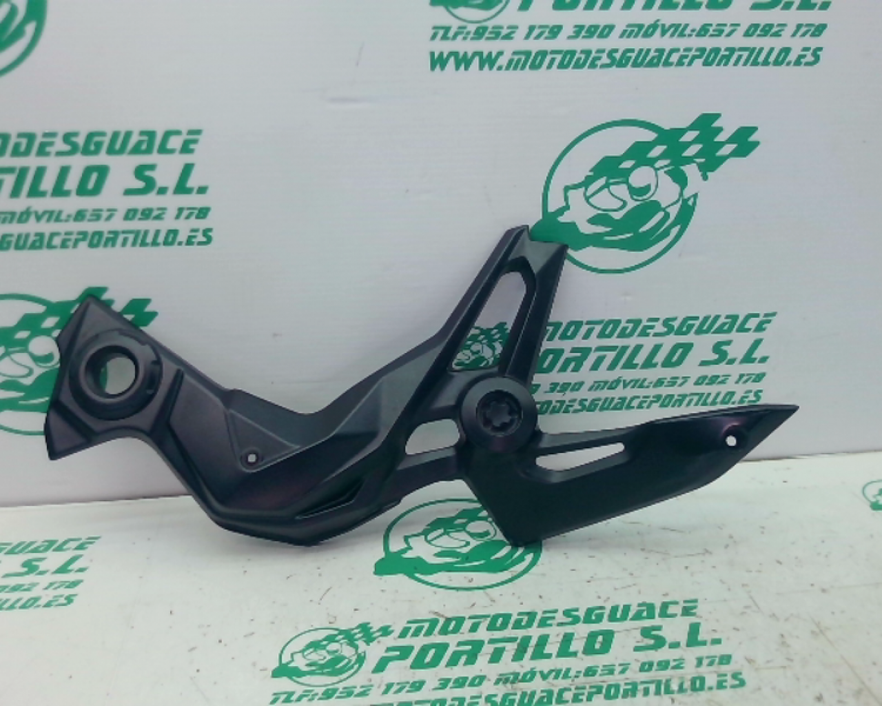 Embellecedor chasis izquierdo Kawasaki Z 900 (2020-2021)