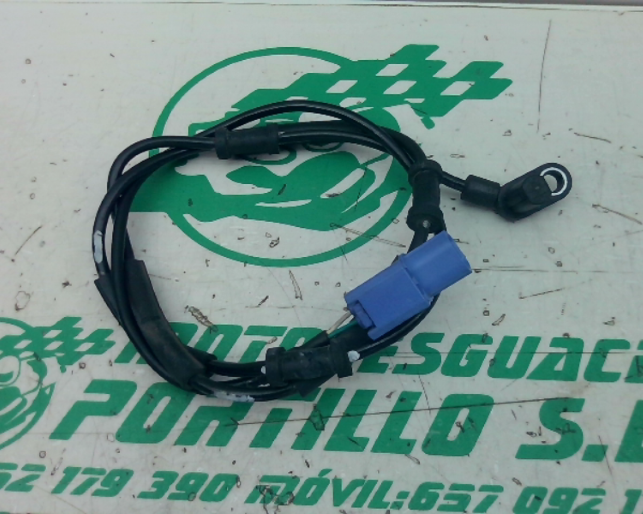 Sensor ABS trasero Kawasaki Z 900 (2020-2021)