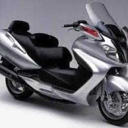 Suzuki BURGMA 650 2001-2002
