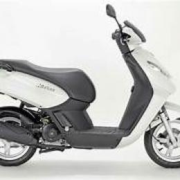 KISBEE 100