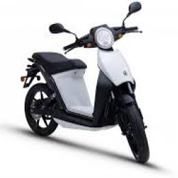 TORROT MUVI 2017-2018