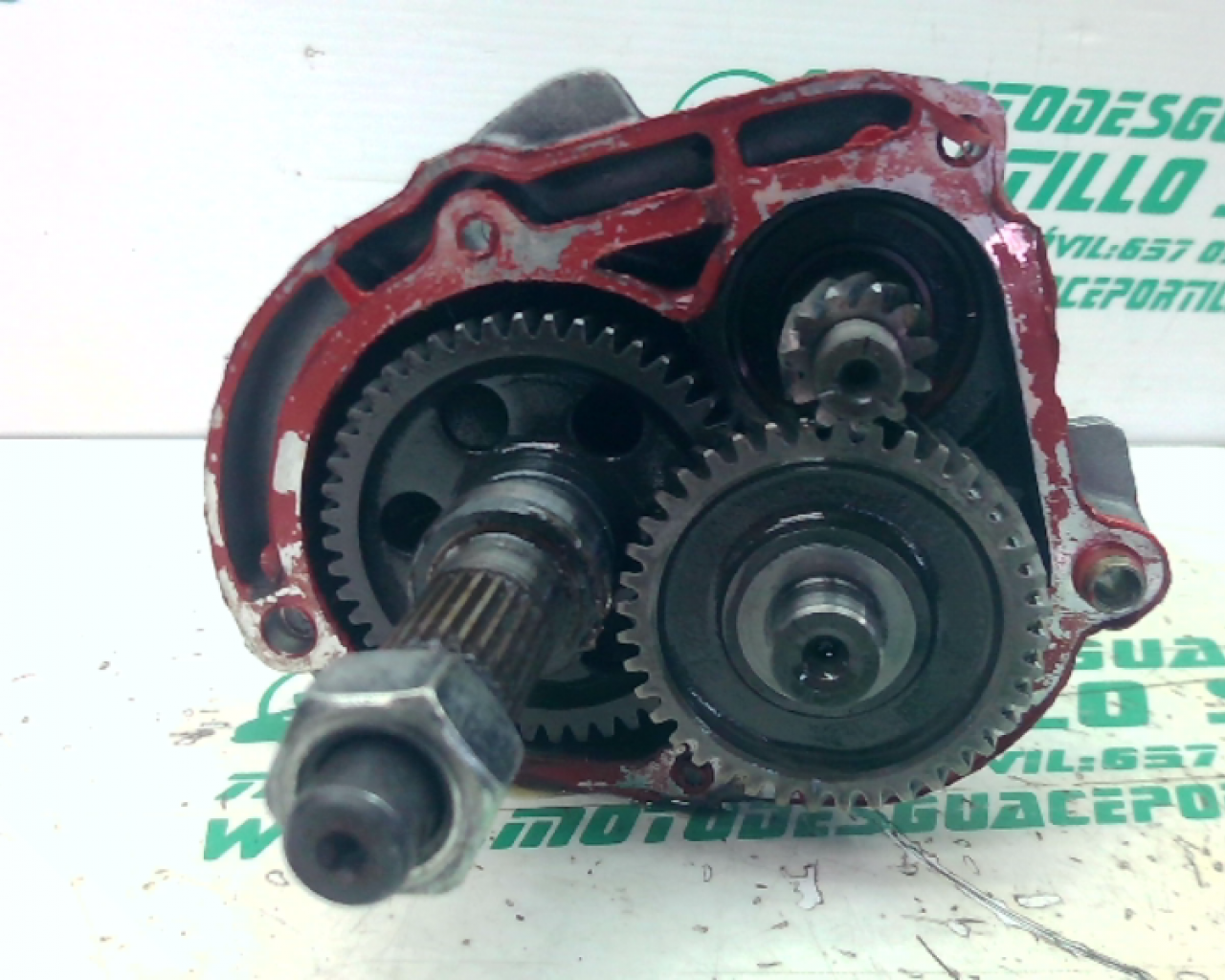 Relaciones Piaggio Zip H2O-2T 2   50 (1996-2000)