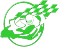 Honda FREEWAY 250 1990-1991