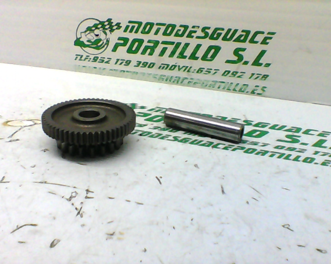 Piñón del motor de arranque Suzuki GS-500-F (2001-2007)