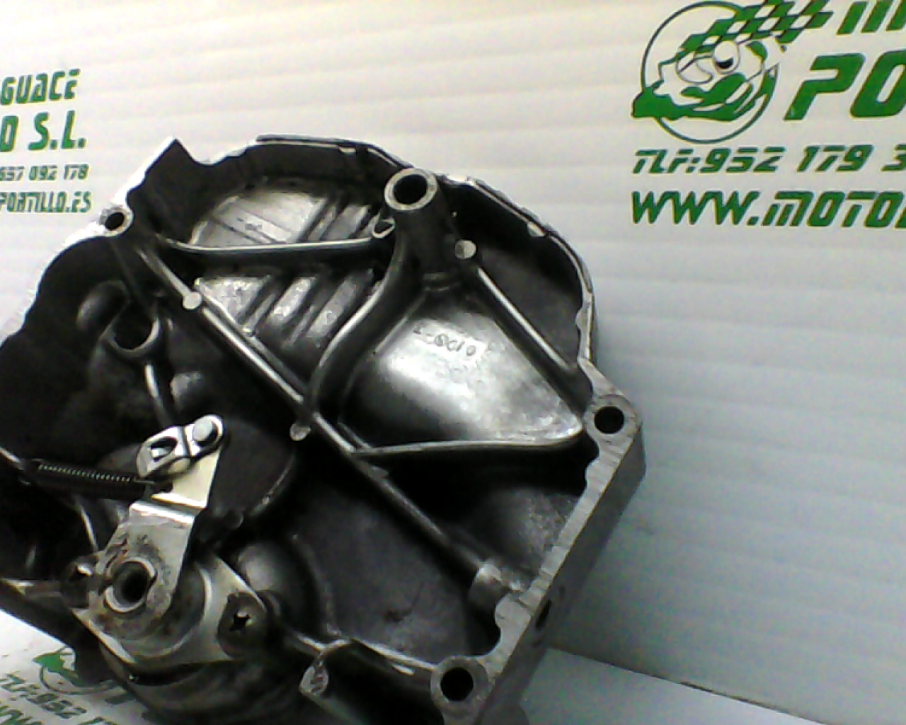 Tapa de piñon Suzuki GS-500-F (2001-2007)