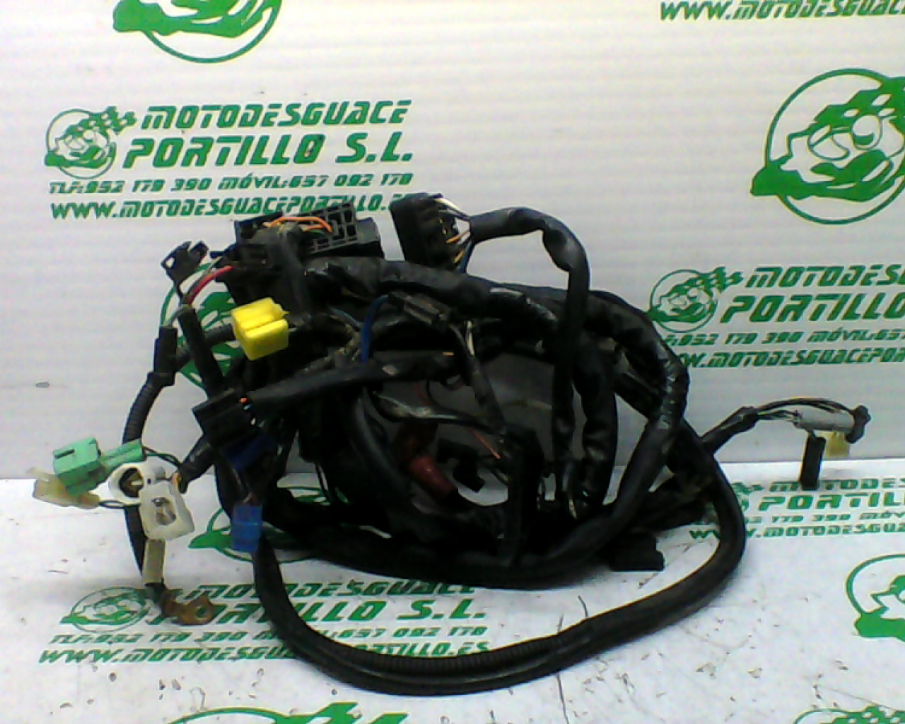 Instalación electrica Suzuki Intruder 250 (2006-2007)