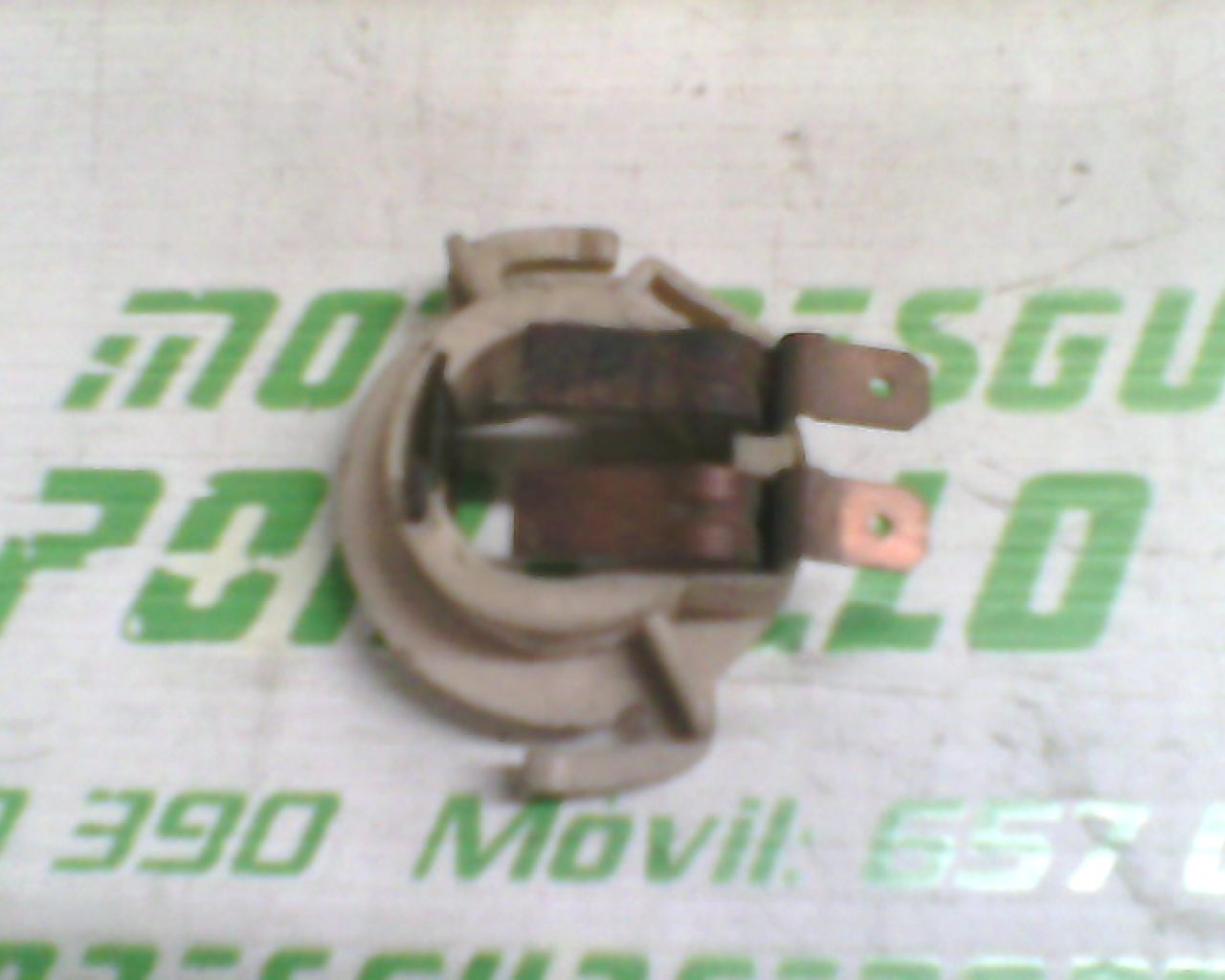 Porta-lámpara Yamaha Why 50 2T (2000-2006)