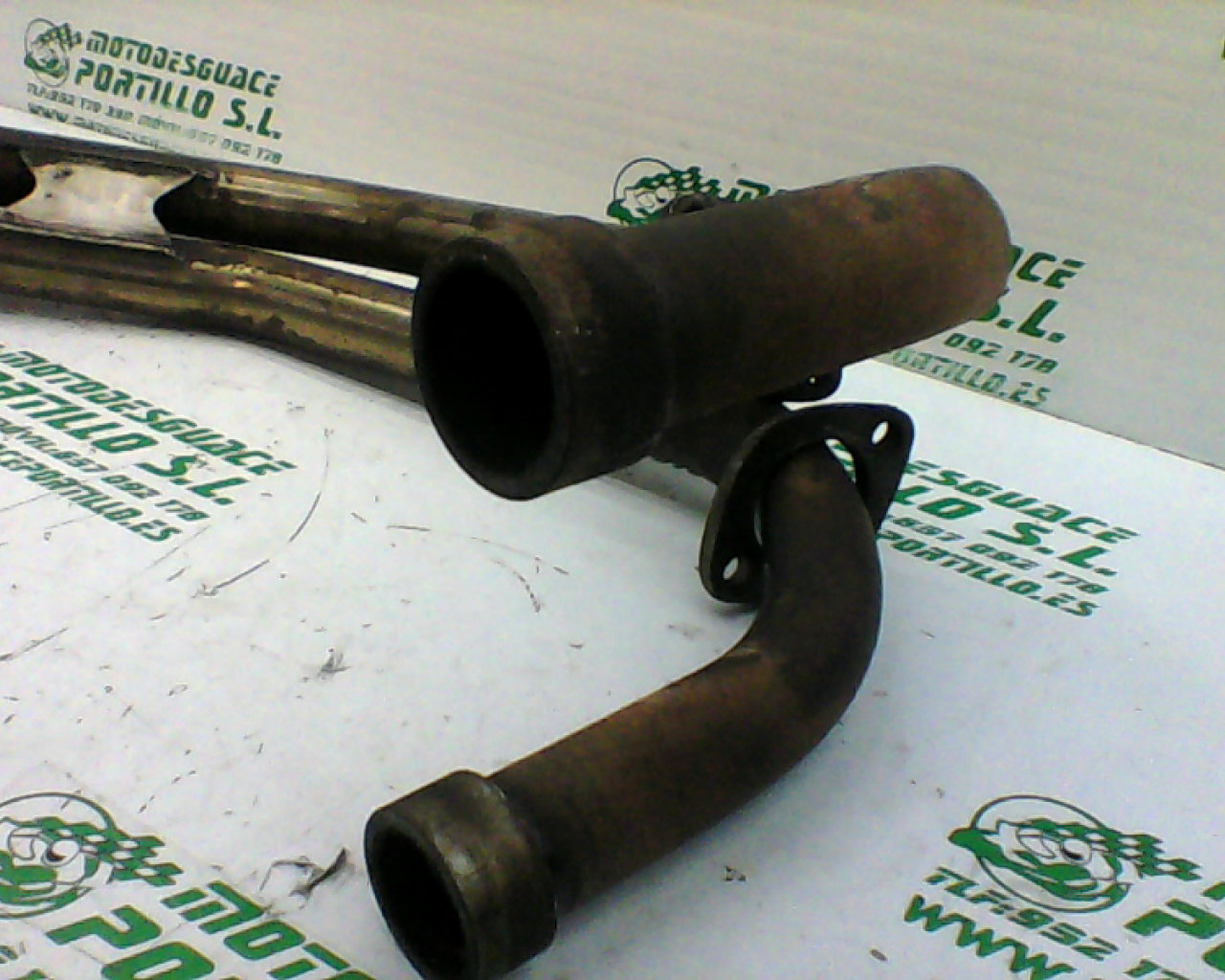 Colector Yamaha XJ 600 S DIVERSION (1992-1996)