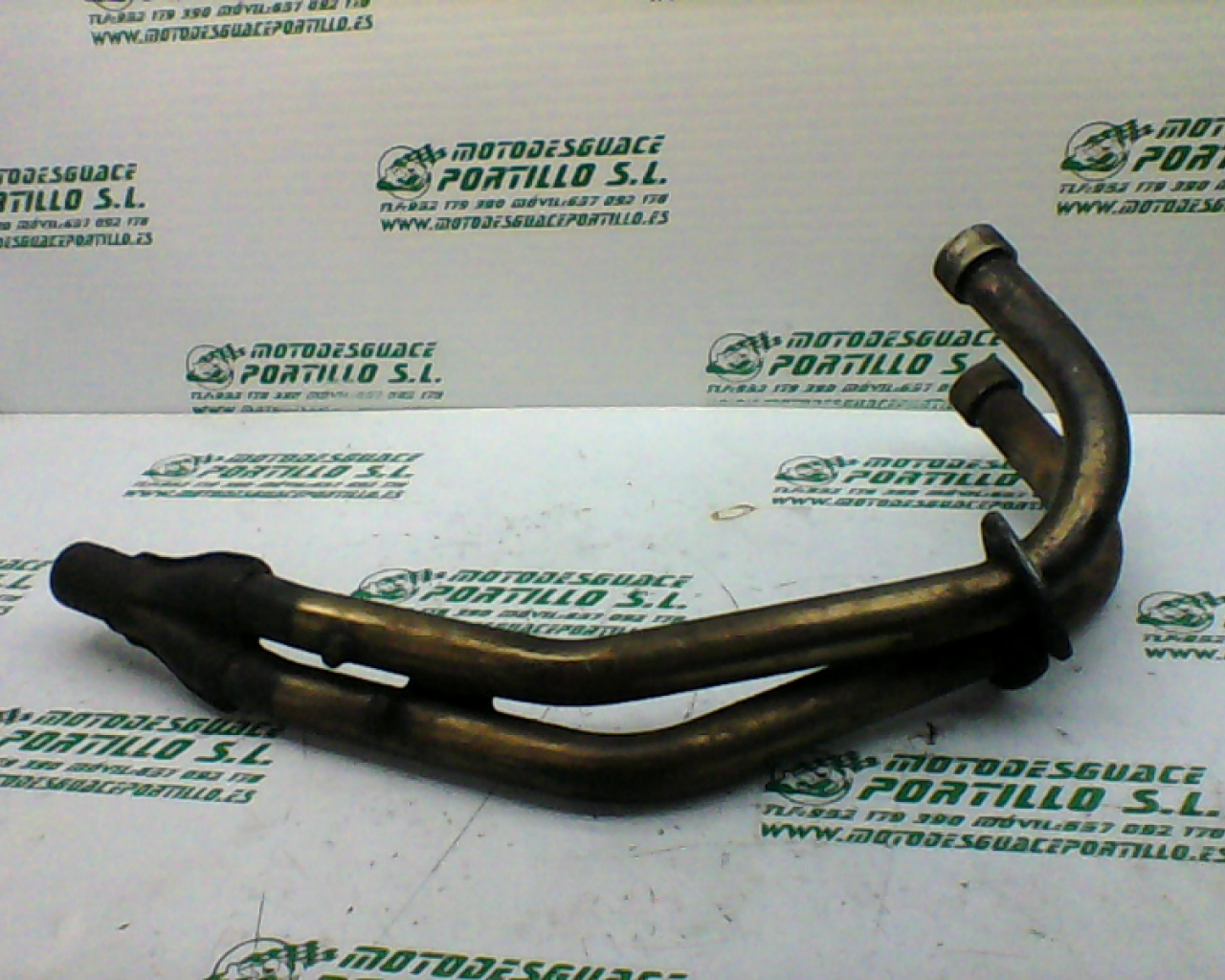 Colector Yamaha XJ 600 S DIVERSION (1992-1996)