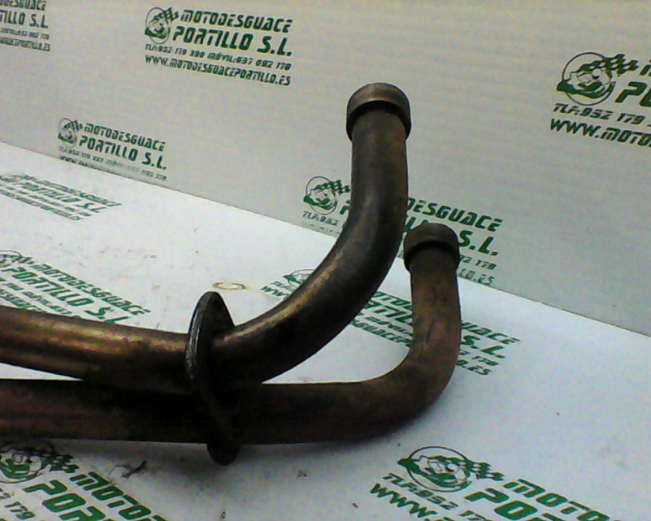 Colector Yamaha XJ 600 S DIVERSION (1992-1996)