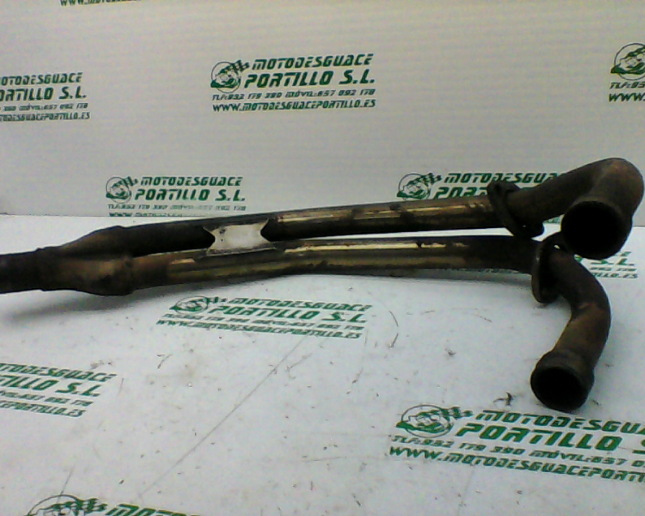 Colector Yamaha XJ 600 S DIVERSION (1992-1996)