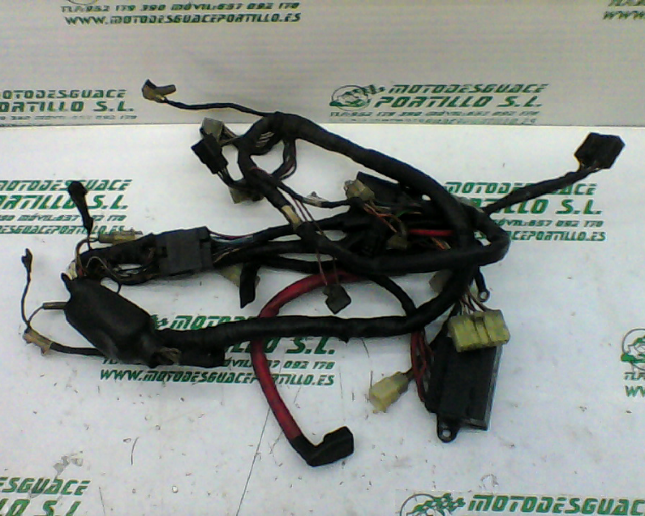 Instalación electrica Yamaha XJ 600 S DIVERSION (1992-1996)